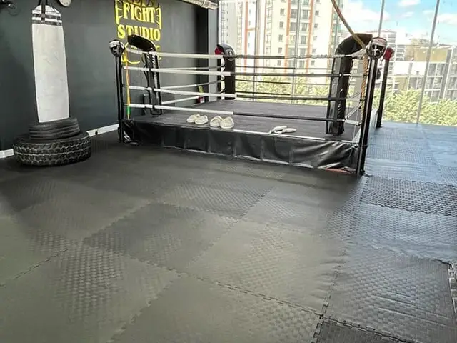 Alfa Fight Studio, Yaşamkent: salon fotoğrafı 4