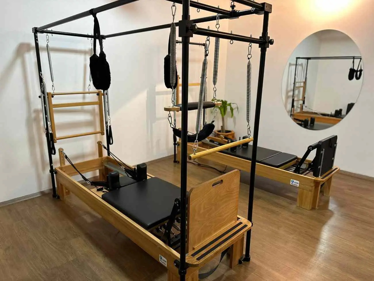 Cat GYM, Eryaman: salon fotoğrafı 1
