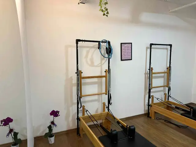 Cat GYM, Eryaman: salon fotoğrafı 4