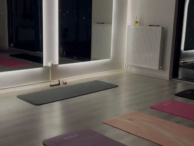 Fzt. Hilal Şahin Dokgöz Pilates, Pursaklar: salon fotoğrafı 2